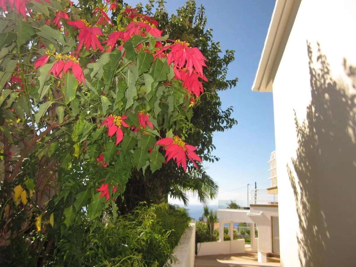 Villa Hansen In Garajau - Cristo Rei Canico  Portugal